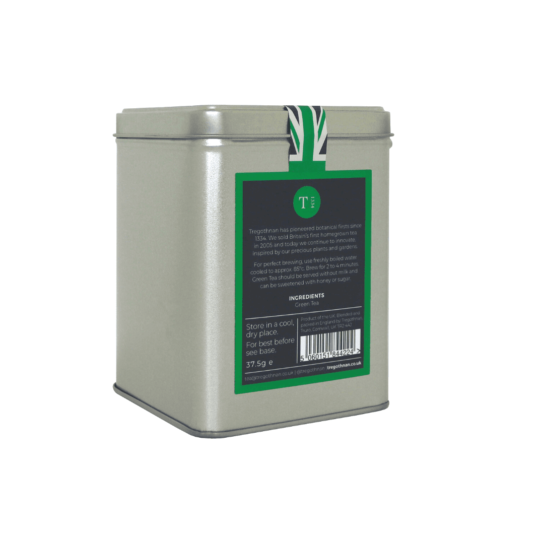 Green - 15 Pyramid Bags