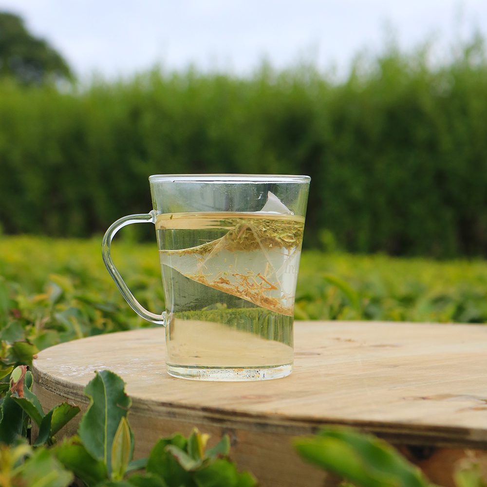 Manuka Tea 100 Pyramid Bags Tregothnan