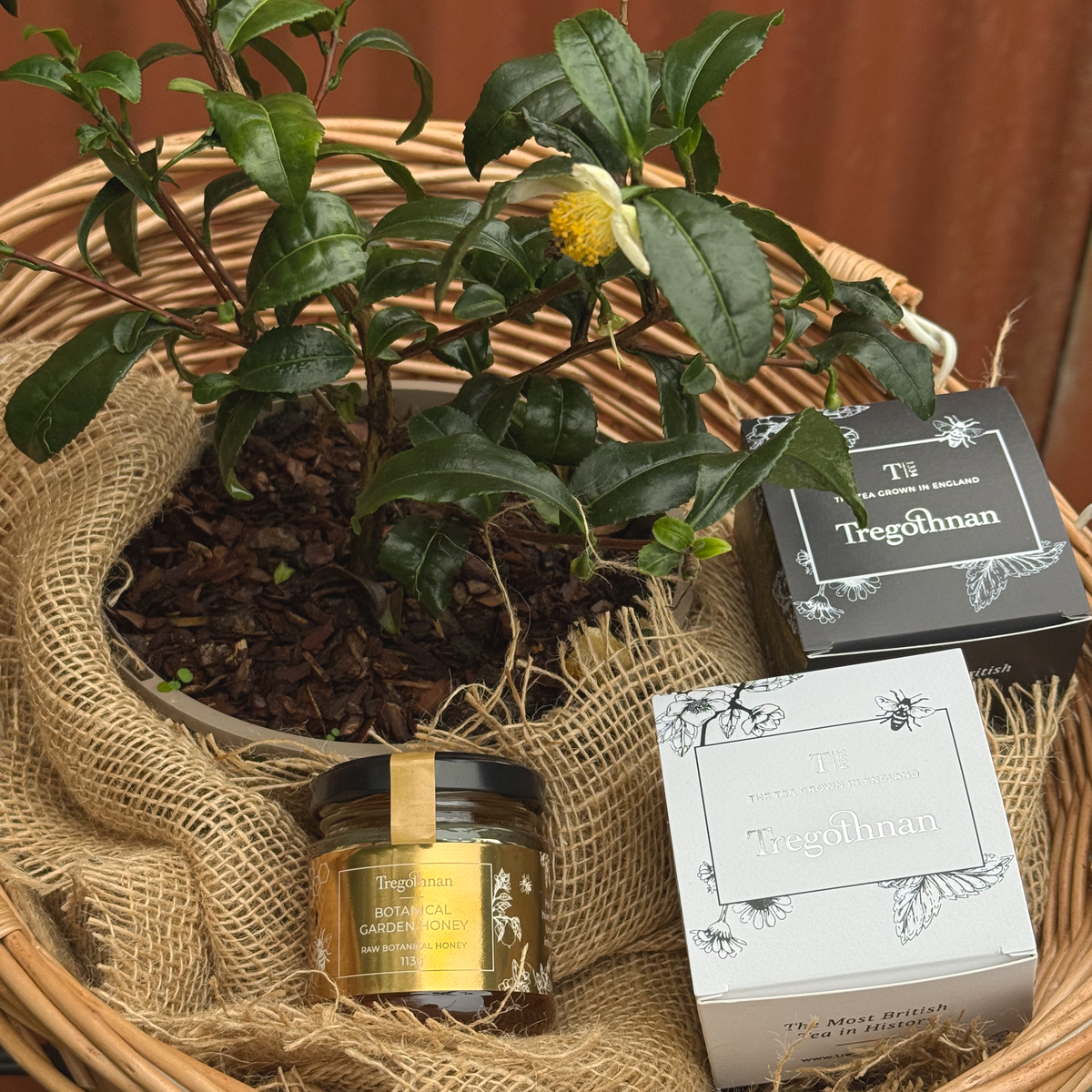 The Botanical Bundle