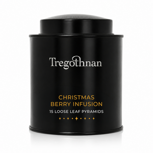 Christmas Berry Infusion 15 Pyramid Teabags