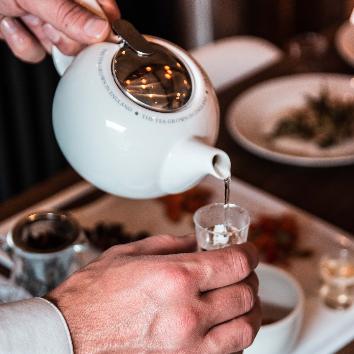 Tea Tasting