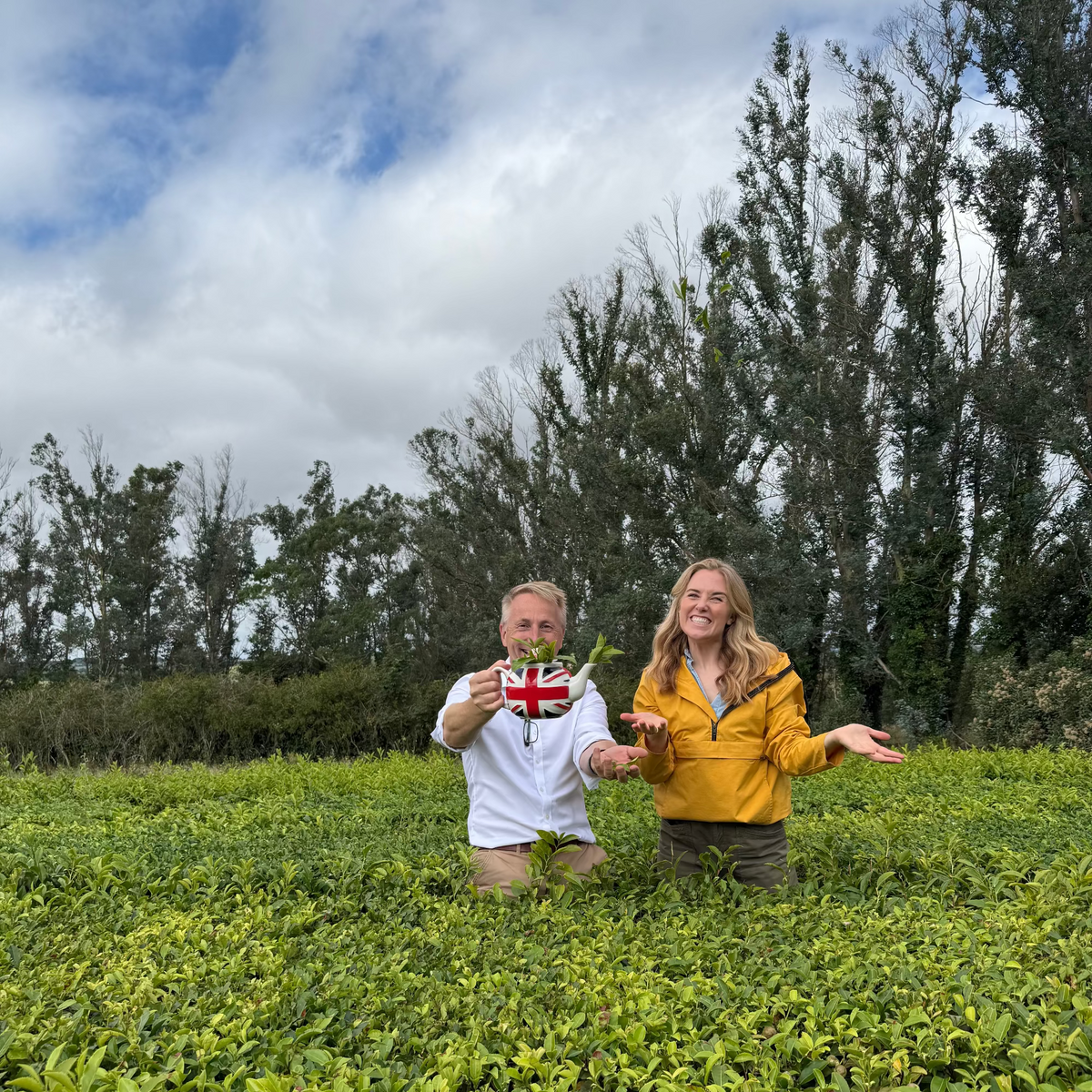 A Tailored Tea Journey with Jonathon Jones OBE