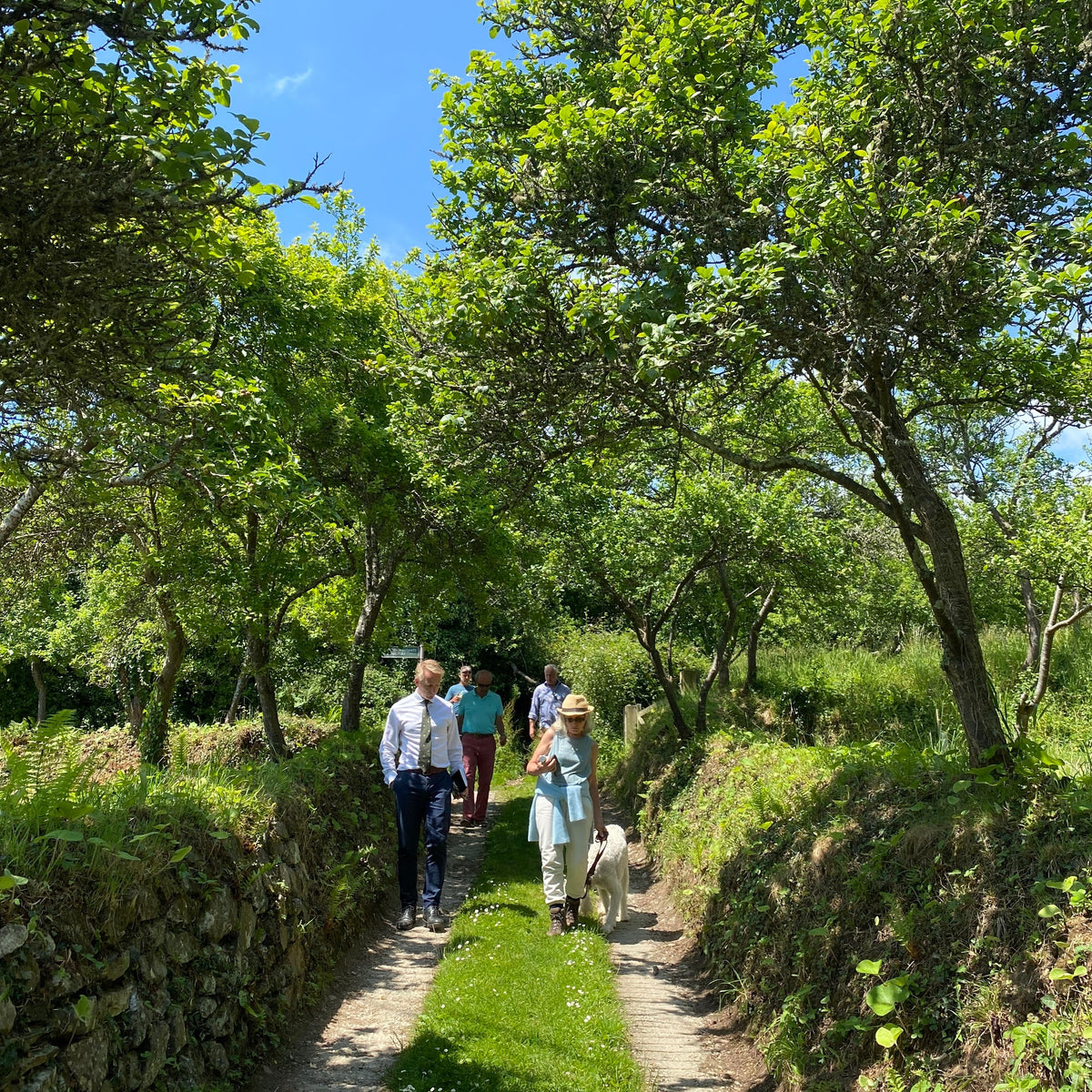 A Tailored Tea Journey with Jonathon Jones OBE