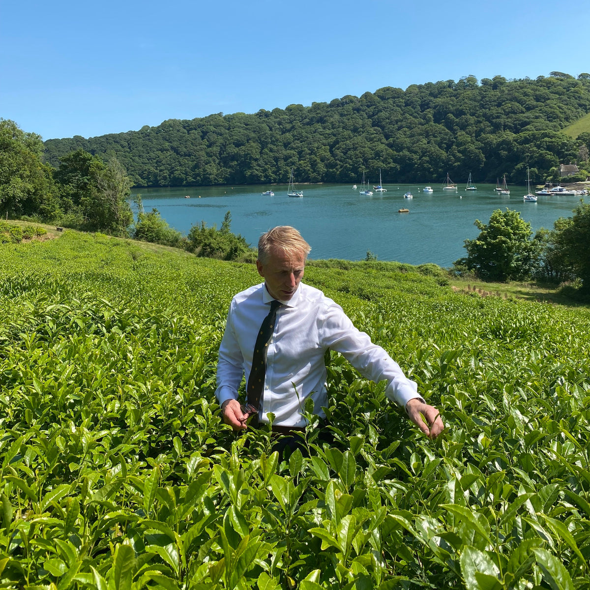 A Tailored Tea Journey with Jonathon Jones OBE