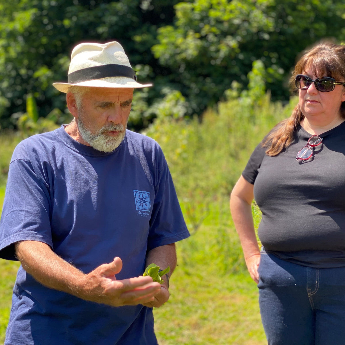 The Tea Growers Guide (Group)