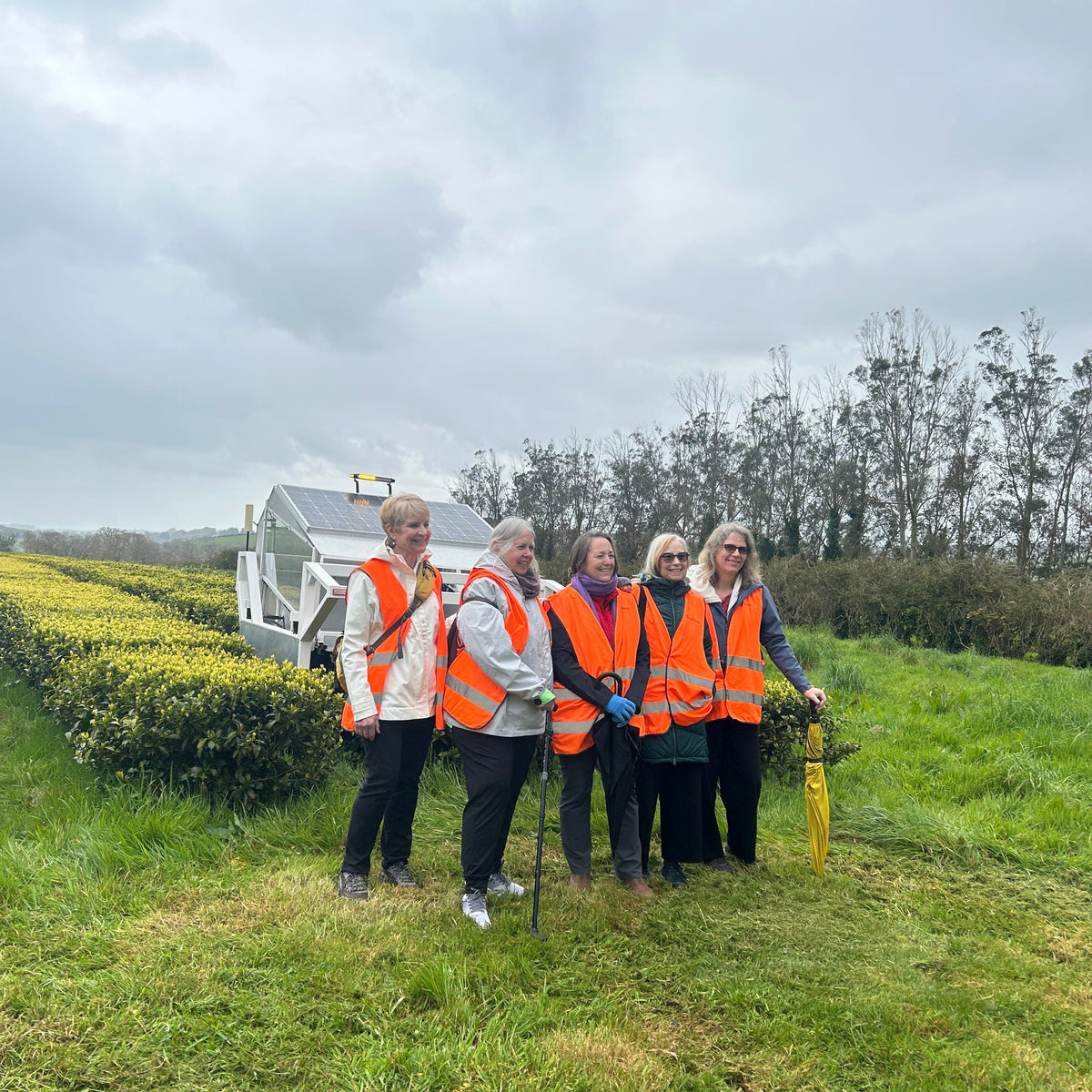 The Tea Growers Guide (Group)