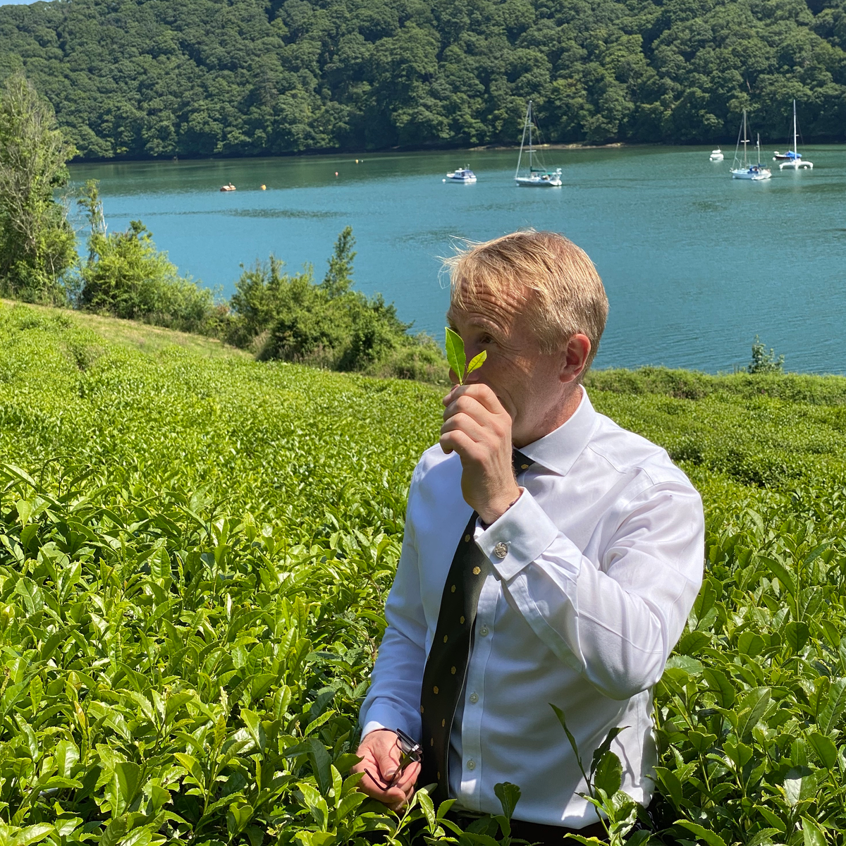 Tea School Masterclass