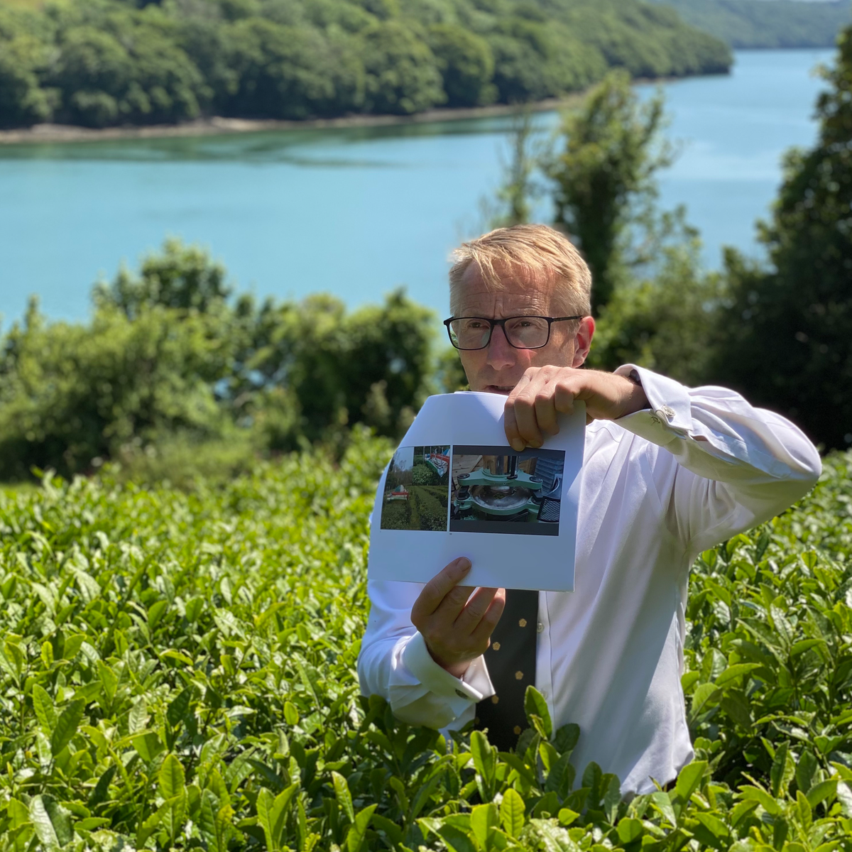 Tea School Masterclass