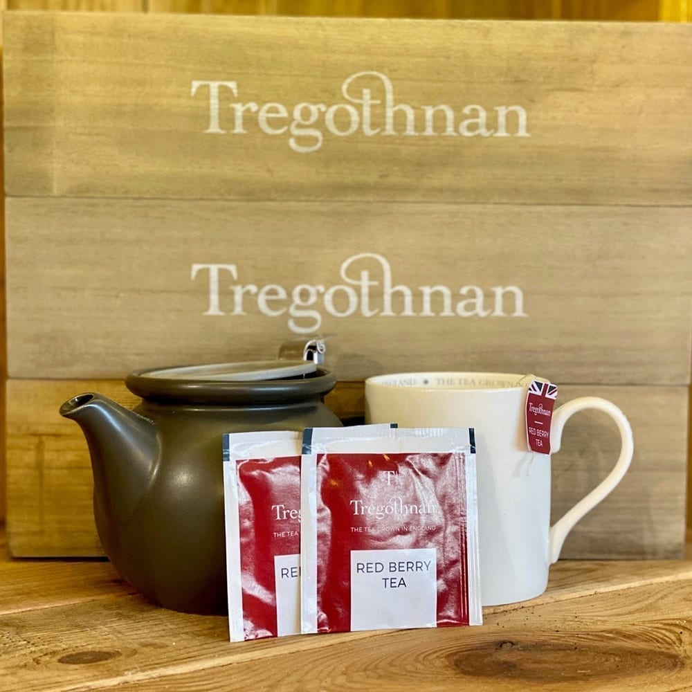 Red Berry - 100 Tea Bags (wrapped) – Tregothnan