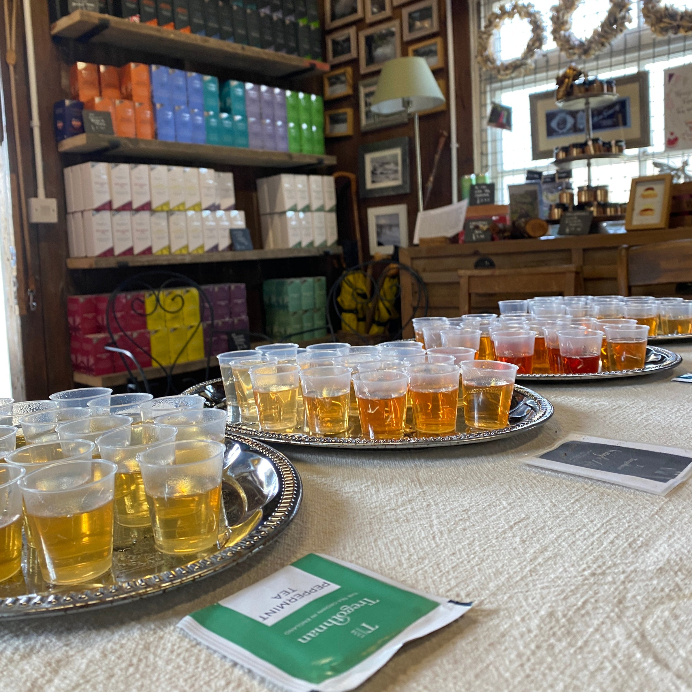 Tea Tasting – Tregothnan
