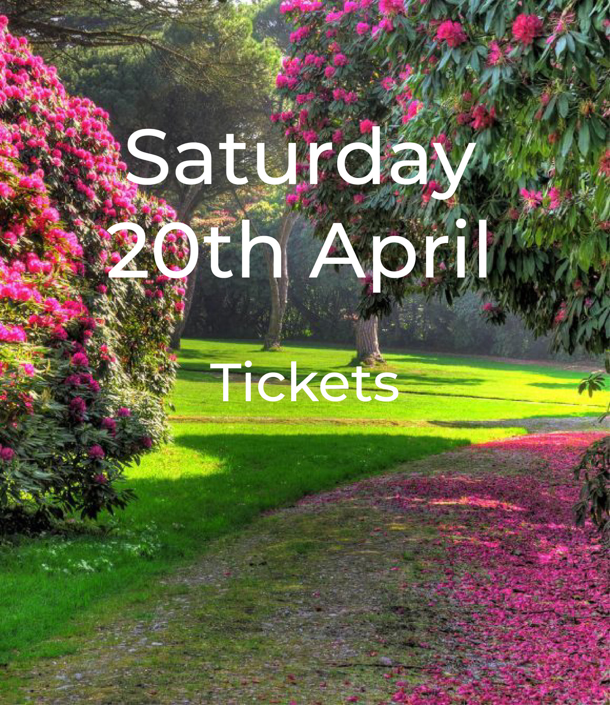 Ticket to the World’s Largest Charity Garden Opening 2024 - 20th April 2024