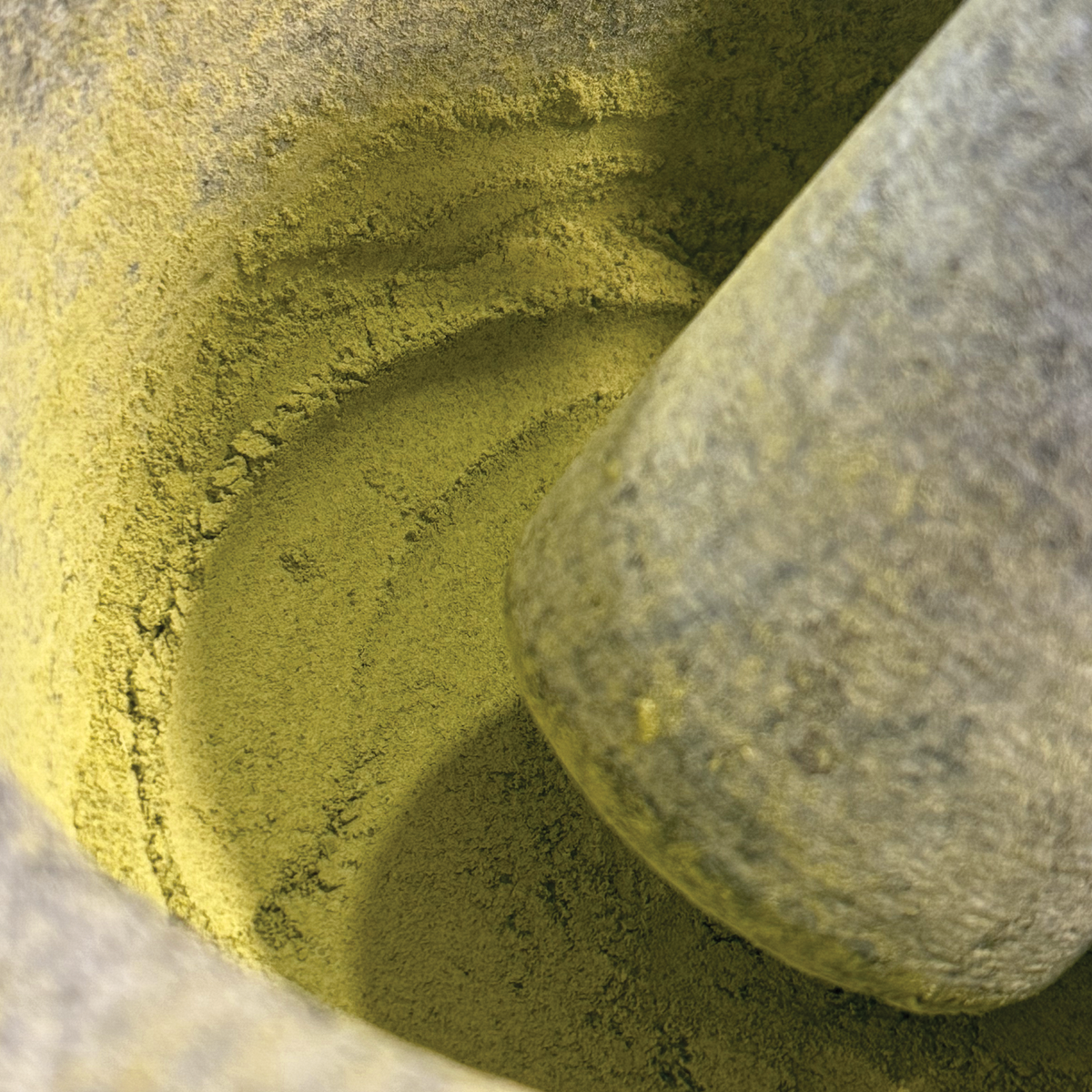 Tregothnan Culinary Matcha – 250g